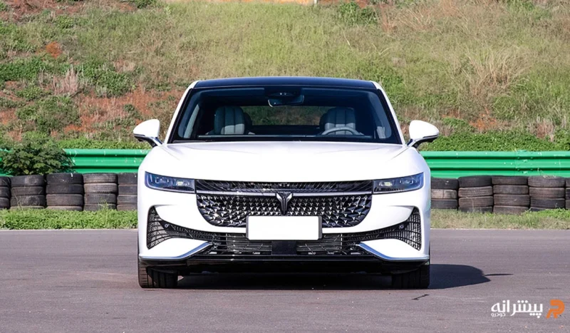 نمای جلوی وویا پشن